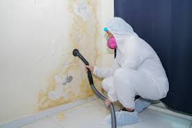 Best Emergency Mold Remediation  in Kalama, WA